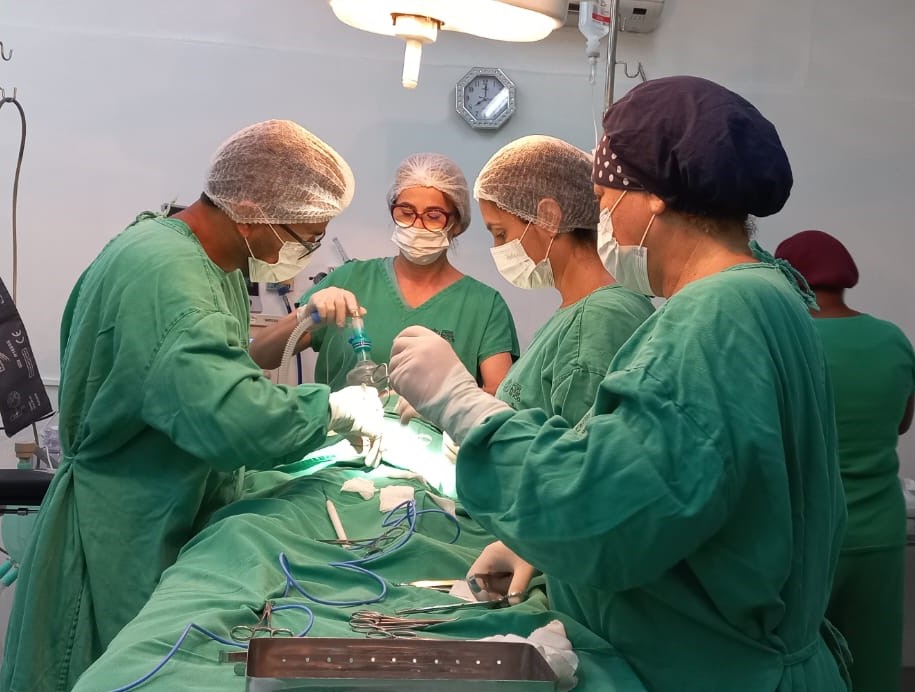Hospital Dom Malan em Petrolina começou neste sábado mutirão de cirurgias pediátricas